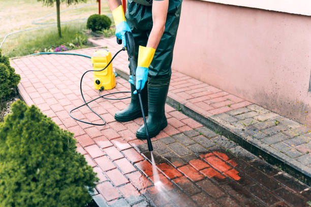 Best Fence Cleaning  in Elkton, KY